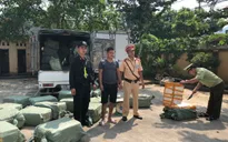 Lạng Sơn: Bắt giữ 2,3 tấn nầm lợn nhập lậu