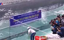 Hoàn thành quá trình lấy mẫu nước sông Tô Lịch