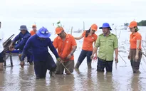 2.000 cây bần được ươm mầm tại rừng ngập mặn Sóc Trăng