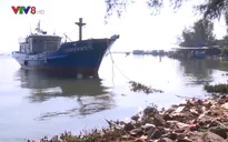 Ngư dân gặp khó trong đánh bắt theo nghị định 67