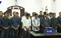 Trùm gỗ lậu Phượng "râu" bị tòa tuyên phạt 8 năm 6 tháng tù