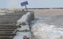 Cà Mau tăng cường phòng hộ đê biển Tây trước hoàn lưu bão