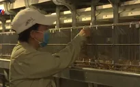 Bình Thuận nỗ lực xúc tiến đầu tư