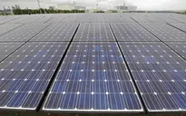 IEA: Lĩnh vực năng lượng tái tạo tăng trưởng tích cực