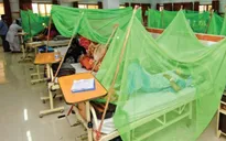 Dịch sốt xuất huyết hoành hành tại Pakistan