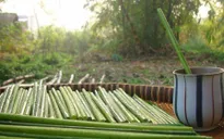 Limiting plastic waste in tourism activities