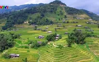 Độc đáo sắc màu du lịch Hoàng Su Phì 2019