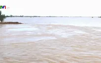 Báo động sạt lở bờ sông, bờ biển ở Đồng bằng sông Cửu Long