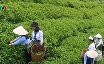 6,6 triệu lượt hộ nghèo được vay vốn tín dụng chính sách