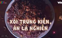 Khó quên hương vị xôi trứng kiến