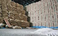 Xuất khẩu gạo của Thái Lan gặp nhiều khó khăn trong năm 2019