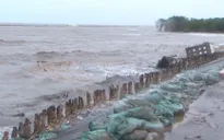 Sạt lở bờ biển ảnh hưởng nghiêm trọng đến đời sống người dân