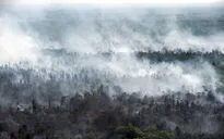 LHQ: Cháy rừng ở Indonesia đe dọa sức khỏe 10 triệu trẻ em Đông Nam Á