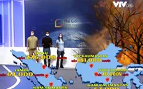 Hơn 900.000 người Indonesia bị bệnh hô hấp vì cháy rừng