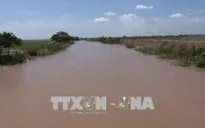 Mực nước sông Cửu Long sắp đạt đỉnh lũ, nguy cơ ngập ở An Giang, Đồng Tháp