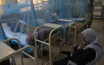 Bùng phát dịch sốt xuất huyết tại Pakistan, 20 người thiệt mạng