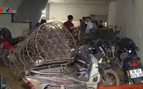 Khởi tố 16 đối tượng trong đường dây trộm hơn 100 tấn chó