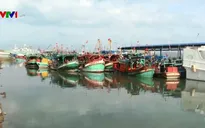 Bà Rịa - Vũng Tàu thực hiện chống khai thác thủy sản trái phép