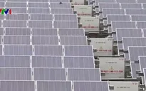 Kiến nghị áp dụng duy nhất một mức giá điện Mặt trời trên toàn quốc
