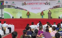 250 gian hàng tham gia Hội chợ triển lãm Nông nghiệp Quốc tế lần thứ 19