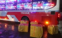 Phú Yên tiêu hủy hàng trăm kg thịt lợn không rõ nguồn gốc