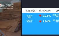 Giá cao su giảm