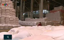 Gạo Việt đối diện với thị trường bị thu hẹp