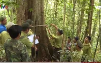 Quảng Nam: Để rừng Sông Thanh trở thành vườn Quốc gia
