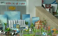 Ngày hội Sữa học đường cho trẻ em mầm non tại Đà Nẵng