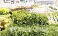 Hơn 200 thương hiệu lớn hưởng ứng lời kêu gọi “Cam kết xanh”