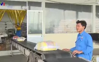Xuất khẩu gạo Việt Nam gặp khó khăn