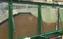 Nhật Bản đối phó với thảm họa thiên nhiên phức hợp