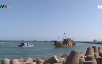 Bất cập hạ tầng cảng cá ở Quảng Ngãi