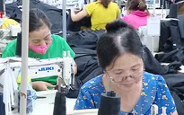 Điều chỉnh hay giữ nguyên tuổi nghỉ hưu sớm?