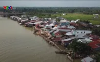 Tìm giải pháp xử lý dứt điểm sạt lở ở ĐBSCL