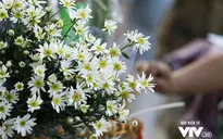 Khi nào miền Bắc sang Đông?