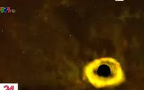 NASA công bố hình ảnh hiếm hoi thời khắc hố đen xé toạc một ngôi sao