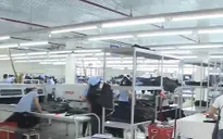 GDP Việt Nam tăng thêm 25,4%/năm sau khi đánh giá lại