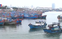 Đà Nẵng kêu gọi tàu thuyền vào bờ tránh trú bão