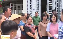 Trại nuôi lợn gây ô nhiễm giữa khu dân cư