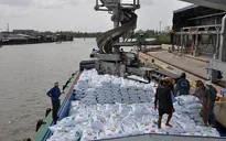 Kiến nghị áp thuế VAT 5% đối với sản phẩm phân bón