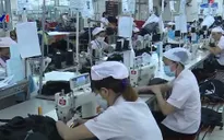 Hơn 70% doanh nghiệp được khảo sát chưa hiểu rõ về CPTPP
