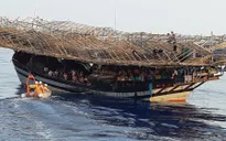 Quảng Nam: Cứu sống 41 ngư dân gặp nạn trên biển