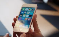Đây là chiếc iPhone giá rất rẻ mà Apple chuẩn bị ra mắt