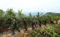 Tiếp tục hoàn thiện hồ sơ dự thảo Luật Biên phòng
