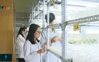 Khởi nghiệp - Làm gì để thành công?