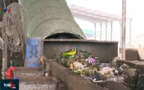 Chưa thể đóng bãi rác Cam Ly