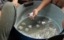 Những công việc có nguy cơ cao nhiễm độc thủy ngân
