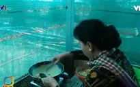 Chủ tịch Quốc hội làm bánh xèo "đãi" bà con Đồng Tháp