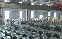 Điều tra chống bán phá giá thép carbon cán nguội